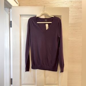 Ann Taylor Lightweight Merino Wool V-Neck Sweater - NWT